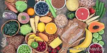 Was tun, wenn einem das Essen auf den Magen schlägt? - DER STANDARD