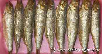 Migräne? Dann essen Sie mehr Fisch! - Berliner Zeitung