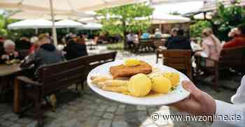 Restaurant-essen: Vom Umgang mit dem Haar in der Suppe - Nordwest-Zeitung