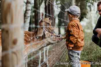 Privatzoo in Passau: 800 verwahrloste Tiere beschlagnahmt - DeineTierwelt Magazin