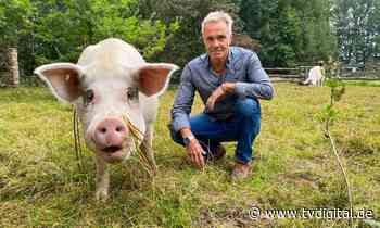 Hannes Jaenicke: So misshandelt der Mensch hochintelligente Tiere - TV Digital