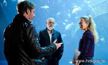 Der Alte: Karfreitag-Special in Spielfilmlänge – Ermittlungen an der Ostsee - TV Digital