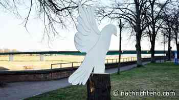 Torgau sagt die Gedenkfeier zum 77. Jahrestag des Ukraine-Krieges „Tag der Elbe“ ab. - nachrichtend.com