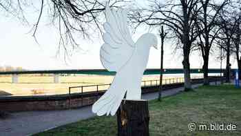 Ukraine-Krieg: Torgau sagt Gedenkfeier „Elbe Day“ zum 77. Jahrestag ab - BILD