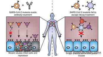Overcoming COVID Variants: Decoy Nanoparticles Trick Coronavirus As It Evolves - SciTechDaily