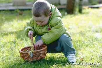 Dax et sud des Landes : des idées de sorties pour le week-end de Pâques - Sud Ouest