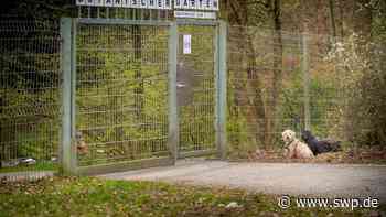 Botanischer Garten in Ulm: Seltene Pflanzen blühen: Das erwartet die Besucher im Botanischen Garten - SWP