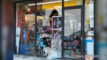 Cash stolen in overnight break-in at Kiddie Kobbler in Ottawa's east end - CTV News Ottawa
