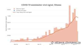 Ottawa COVID-19 wastewater signal decreases for first time in weeks - CTV News Ottawa