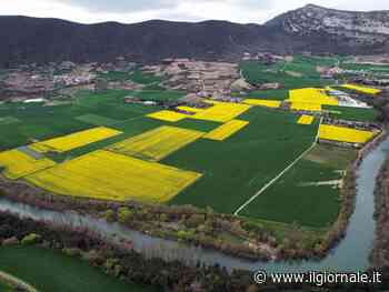 "Gli attacchi russi pure all'agricoltura. L'export è fermo noi non molliamo" - ilGiornale.it