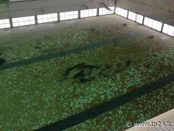 Piscina di Marsala, è ancora tutto fermo. Chiusi lo stadio municipale e quello di Strasatti - Tp24