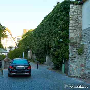 Sindelfingen: Kein Efeu an der Stadtmauer | SZ/BZ - Sindelfinger Zeitung / Böblinger Zeitung