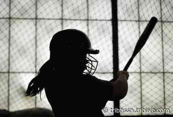 High school roundup for April 15, 2022: Burrell's Armstrong fans 16 | Trib HSSN - TribLIVE.com