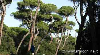 “Naturalmente Minturno Scauri 2022”: nuovo ciclo di passeggiate gratuite - Il Faro online