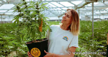 Cannabis Brand Old Pal Taps Into Houseplant Trend for ‘Grow Your Own’ 4/20 Stunt