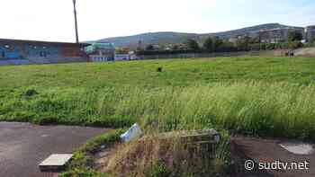 Sadio Dirceu abbandonato: erba alta e rifiuti - SudTv