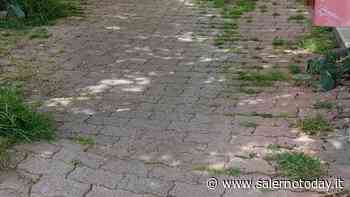 Erba incolta, rifiuti abbandonati e pneumatici in strada: il rione Carmine somiglia a una giungla - SalernoToday