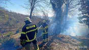 Gut Schede: Feuerwehr Herdecke und Wetter bekämpft Waldbrand - WP News