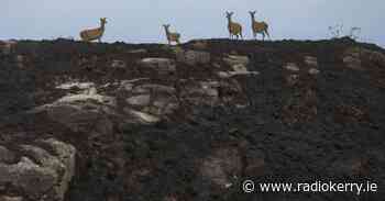 Increased patrols in Killarney National Park to reduce wildfires this weekend - Radio Kerry