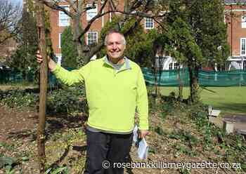 Public space no longer public - Rosebank Killarney Gazette