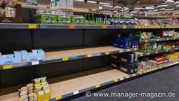 Ukraine wichtigster Lieferant: Sonnenblumenöl wird Mangelware bleiben