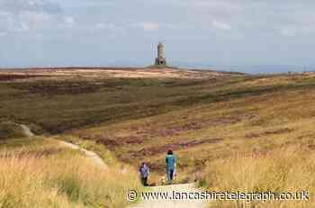 Five walks under 7 miles to try over the Easter bank holiday weekend