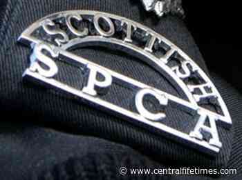 Dunfermline: Scottish SPCA appeal after dog found at Canmore Golf Club - Central Fife Times
