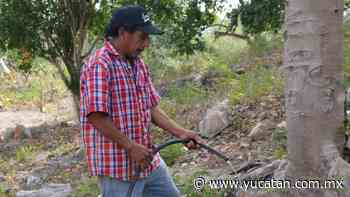 Molestia por desabasto de agua en Peto - El Diario de Yucatán