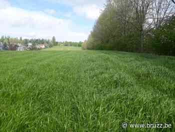 Stadsboerderij Chant des Cailles breidt uit: binnenkort groente en fruit uit Overijse - BRUZZ