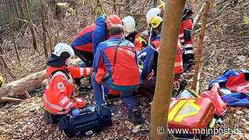 Forstunfall bei Ebern: Hubschrauber "Christoph 27" rettet verunglückten Waldarbeiter - Main-Post