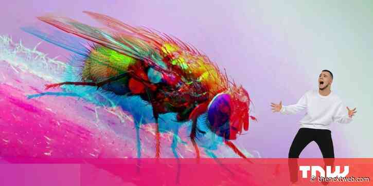 5 things I hate about being a developer