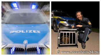 Schlägereien, Randalierer, Not-Op, verletzte Polizisten und ein „tierischer Fang“