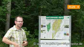 Bobingen: Wie sich Bobingens Stadtförster den Wald der Zukunft vorstellt | Schwabmünchner Allgemeine - Augsburger Allgemeine