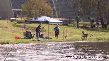 CARP COMP KICKS OFF AT LAKE KEEPIT - nbnnews.com.au