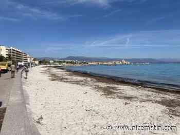 À Antibes, on attend avec impatience les nouveaux kiosques sur la plage de la Salis