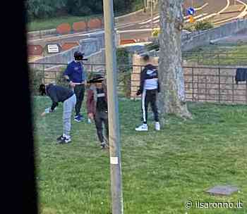 Saronno, viale Santuario dal pic nic al bivacco… con minacce al passante - ilSaronno