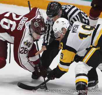 Peterborough Petes will face Hamilton Bulldogs in first round - The Peterborough Examiner