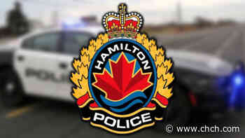 Suspicious person in Hamilton's Rosedale area no longer threat: police - CHCH News