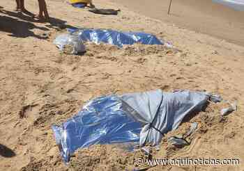 Meninos de Venda Nova do Imigrante que sumiram no mar de Marataízes são achados mortos - Aqui Notícias - Ache Aqui Notícias