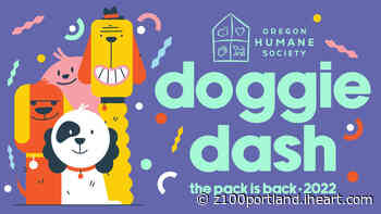 Doggie Dash 2022 | May 14th, 2022 | Tom McCall Waterfront Park - iHeart