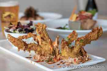 Dash Dashi in Manhattan Beach passes the finish line - Easy Reader