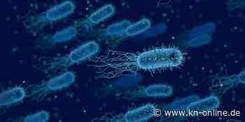 Lebensmittelskandal in Hessen: Mann stirbt an verseuchten Gurkenscheiben