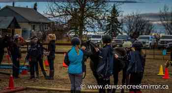 Baytree equine assisted learning program facilitating success - Dawson Creek Mirror