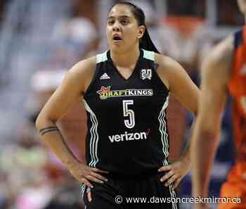 Ex-WNBA guard pleads not guilty to strangling former partner - Dawson Creek Mirror