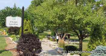 St. Clair College students organize charity walk for cancer - BlackburnNews.com