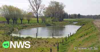 Landbouwer stelt akker ter beschikking voor waterbufferbekken langs Moubeek in Zedelgem - VRT NWS