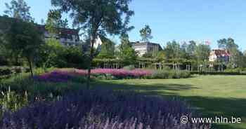 HAP Food Festival komt terug naar Middelkerke - Het Laatste Nieuws