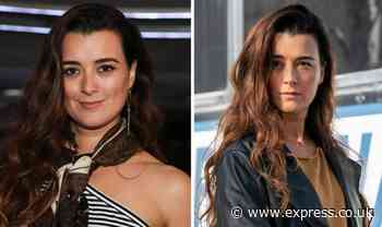 NCIS: Why did Cote de Pablo leave NCIS as Ziva David? - Express