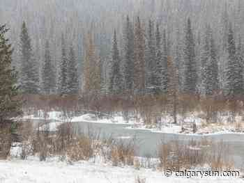 On The Road with Mike Drew: Springter has sprung! - Calgary Sun