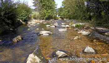 Fischen auf die Sprünge helfen - Emmendingen - Badische Zeitung - Badische Zeitung